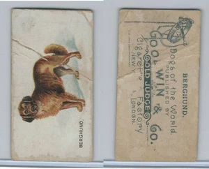 N163 Goodwin, Dogs of World, 1890, Berghund - Picture 1 of 1