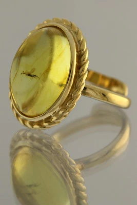 Anillo ajustable de plata chapado en oro ámbar báltico genuino avispa fósil 160614-4 Foto 1 de 4