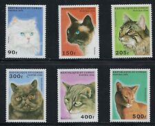 Cats on MNH Stamps from Congo CV $7.30............14P.......C-1103-X