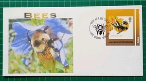 2015 Bees Self Adhesive 1st Ex-Retail Booklet on FDC - Picture 1 of 3