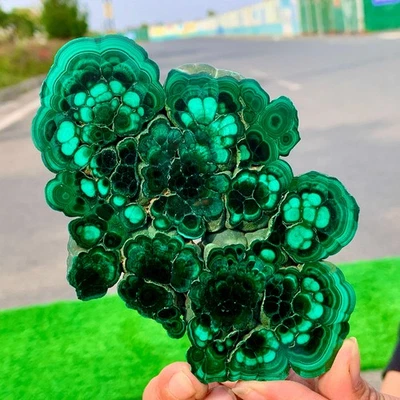 328G Natural Malachite transparent cluster coarse mineral sample - Image 1 of 4