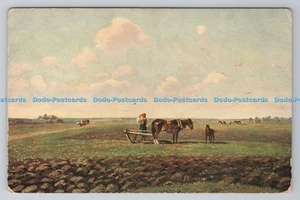 R781264 On The Arable Land. Peterhof - Imagen 1 de 4