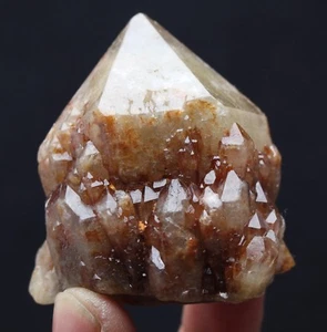 149g  New Find Unique Smoky skeletal Elestial QUARTZ Crystal Point Specimen - Picture 1 of 12