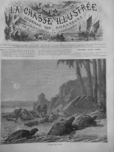 1872 1901 Turtle Fishing Kitchen Ornament 8 Antique Newspapers - Picture 1 of 8
