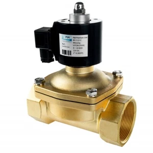 FSA Solenoid Valve Brass 2" 12V DC 0-10 Bar Viton Powerless Closed - Picture 1 of 7