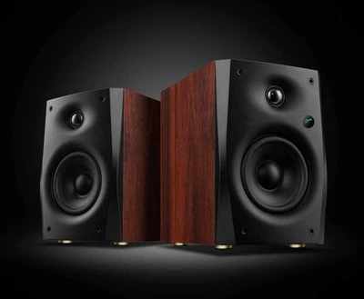 Swans D1100 - Altoparlanti da scaffale Bluetooth attivi a 2 vie, coppia | Nuovi - Immagine 1 di 4