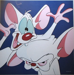 PINKY & the BRAIN SQUARE FACE PRINT WB Animated - Picture 1 of 1