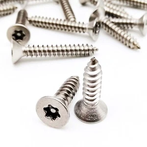 M2-M5 SUS304 Torx Countersunk Head Tamper Proof Security Self-tapping Wood Screw - Picture 1 of 6