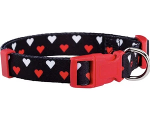 native pup valentines day dog collar large new with tags - Picture 1 of 8