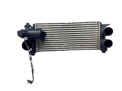 Intercooler Ford Expedition 3.5L 2018-2024 Fl34-6K775-AC fabricante de equipamento original - Imagem 1 de 4