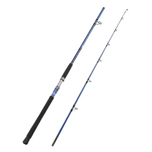 2-Piece Saltwater Spinning Fishing Rod Offshore Graphite Portable Fishing Rod... - Picture 1 of 7