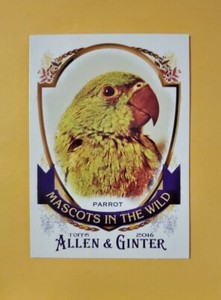 2016 Topps Allen & Ginter Mascots in the Wild #MIW9 Parrot