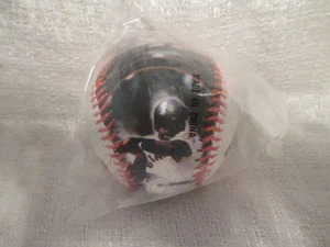 Rawlings Barry Bonds Giants 73 Home Runs Season Commemorative Baseball Sealed - Picture 1 of 4