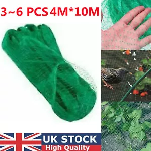 6 Anti Bird Garden Netting Pond Net Protection 4mX10m Plant Veg Crop Fruit Mesh - Picture 1 of 11