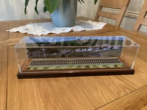 Display Case For Hornby - Model Train Loco with fixed track,scenics And Backdrop - Picture 1 of 12