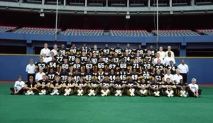 PITTSBURGH STEELERS STAGIONE 1989 SQUADRA UFFICIALE VIDEO DVD - Foto 1 di 1