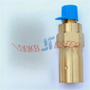 1PC REGO PRV9432F100C low temperature Dewar Pressure relief valve NEW - Picture 1 of 5