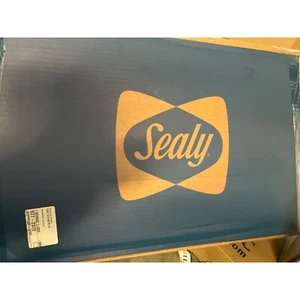 Sealy 24x16x5.75 memory foam clean pillow w/cover - Picture 1 of 1