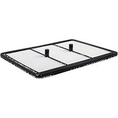 Baldwin PA10106 面板空气元件适用于 17-22 现代起亚 Ioniq Niro — 第 1/4 张图片