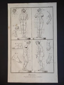Proportions de la Venus de Medicis, Dessein, Encyclopédie, Prévost, Stampa 1763 - Picture 1 of 8
