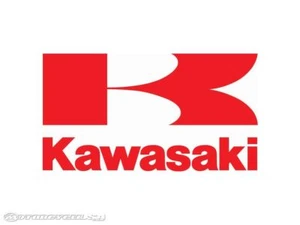 Originale Kawasaki 92145-7034 Molla - Foto 1 di 3