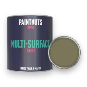 Multi Surface Paint Weatherproof RAL-6013 Reed Green All Finishes - 250ml Tin - Picture 1 of 11