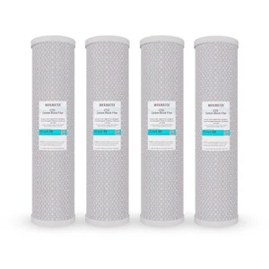(4) Big Blue 20"x 4.5" Whole House CTO Coconut Shell Carbon Block Water Filter - Picture 1 of 8