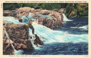 Trout Fishing Great Smoky Mountains National Park Vintage Linen PC - Picture 1 of 2