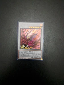 Yugioh Bramble Rose Dragon DOOD-EN039 Secret Rare 1st Ed NM - Picture 1 of 1