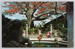 Postal Kapok Tree Inn Tree Clearwater, Florida - Imagen 1 de 2