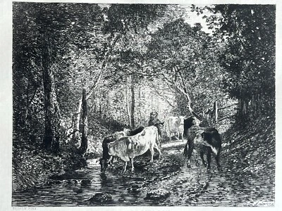 Troyon / Lalanne Gravure Eau Forte Etching Taureau Et Vaches Sous Bois - Photo 1/4