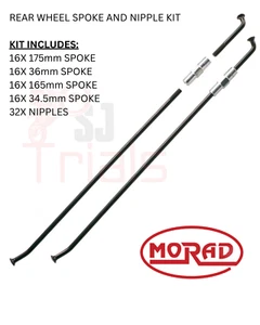 TRIALS REAR SPOKE AND NIPPLE SET BETA SHERCO GAS GAS TRS VERTIGO GENUINE MORAD - Picture 1 of 9
