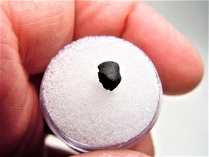 NEW FALL! SUPER RARE CLASS! TERRIFIC TARDA C2 UNGROUPED METEORITE! .16 GMS! - Picture 1 of 6