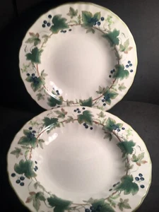 Beautiful Set of 2 Mikasa DD002 Country Classics Chelsea Vine Salad /soup Bowls - Picture 1 of 9