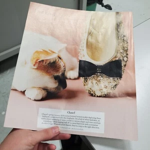 2024 Moda Chanel Gato Calzado Impresión Anuncio Página Promocional Arte Colores Pastel - Imagen 1 de 4