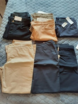 Lote de 8 Pantalones Para Mujer Nuevos con Etiquetas Talla 14 Liz Claiborne Sara Lee Tahari Pantalones de Trabajo Foto 1 de 4