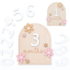 Baby Monthly Milestone Cards - Wooden Monthly Milestone Discs - Newborn Photo... - Picture 1 of 7