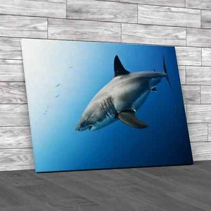 Great White Shark Original Canvas Print Large Picture Wall Art - Picture 1 of 8