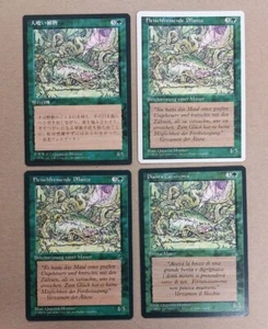 X4 UNPLAYED ITALIAN GERMAN JAPANESE Carnivorous Plant Magic MTG Dark Renaissance - Picture 1 of 2
