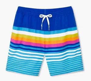 Chubbies The Newports 5.5" Classic Swim Trunks Blue Stripe Shorts Mens SMALL NWT - Picture 1 of 12