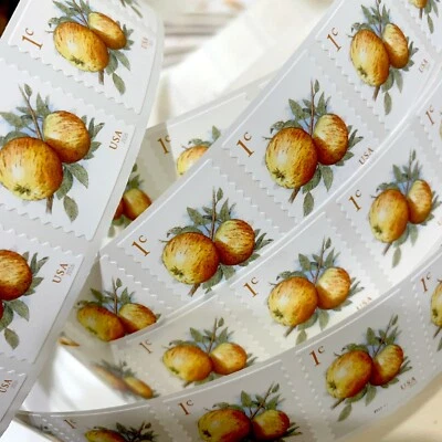 US # 5037 1c Apples (2017) - 50 Stamps / Coil Single Strip (Fruit) MNH - Image 1 of 2