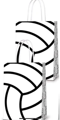 16 bolsas de voleibol con asas para niños y adultos Foto 1 de 3