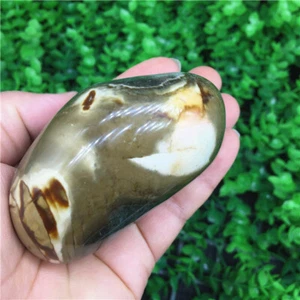 262g Collection!Amazing Ocean Jasper Agate Geode Crystal Reiki Stone  y771 - Picture 1 of 10