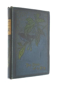 The Story of a King told By One of His Soldiers (Charles XII of Sweden) - Picture 1 of 1