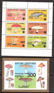 Batum (Soviet Union) Mushrooms Souvenir Sheet and Miniature Sheet MNH - Picture 1 of 1