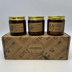 3-Pack Scented Candle Set Soy Wax, Aromatherapy Candles for Home 3.5oz Jars New - Picture 1 of 8