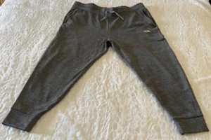 The North Face Canyonlands Women’s Jogger Sweat Pants Gray Grey Heather Sz 2XL - Picture 1 of 14