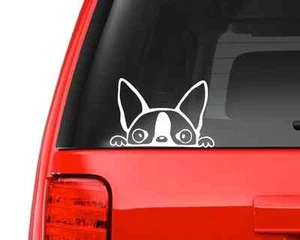 Peeking Boston Terrier (A14) Vinyl Decal Sticker Car/Truck Laptop/Netbook Window - Picture 1 of 2