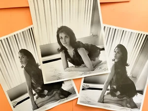Lara Lindsay 1960s starlet . (3) original vintage 8x10" press headshot photos - Picture 1 of 4