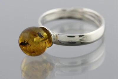 Anillo ajustable de plata con cuentas redondas ámbar báltico genuino hormiga fósil 2,5 g 200416-11 Foto 1 de 4